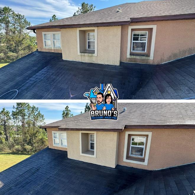 roof cleaning Saint-Johns-fl-